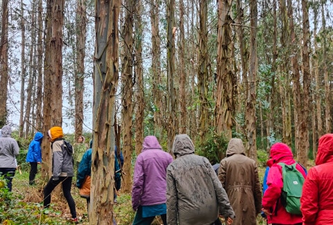 Formación educacion en la naturaleza