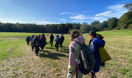 Cursos educacion en la naturaleza