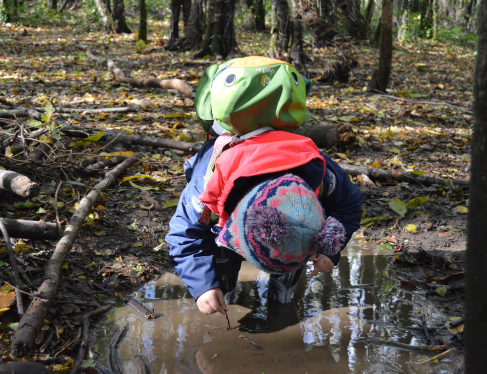 Educación en la naturaleza