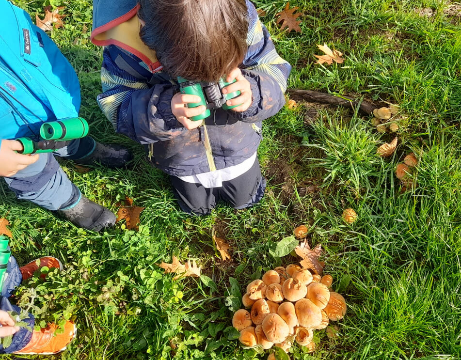 Educación en la naturaleza