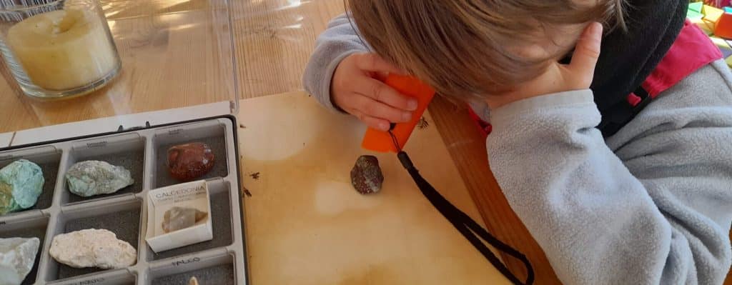 Escuela en la naturaleza