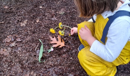 Escuela en la naturaleza