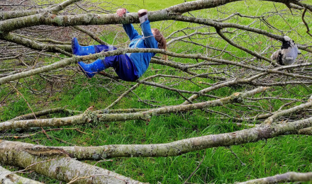 Escuela en la naturaleza