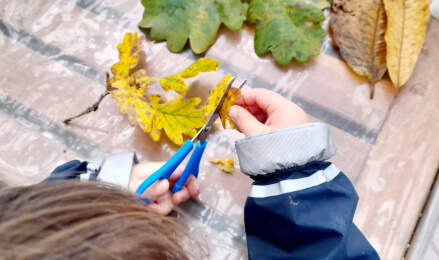 Escuela en la naturaleza