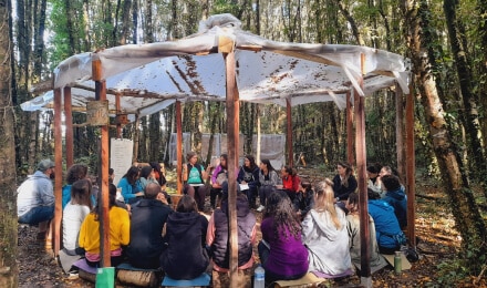 Formación educacion alternativa